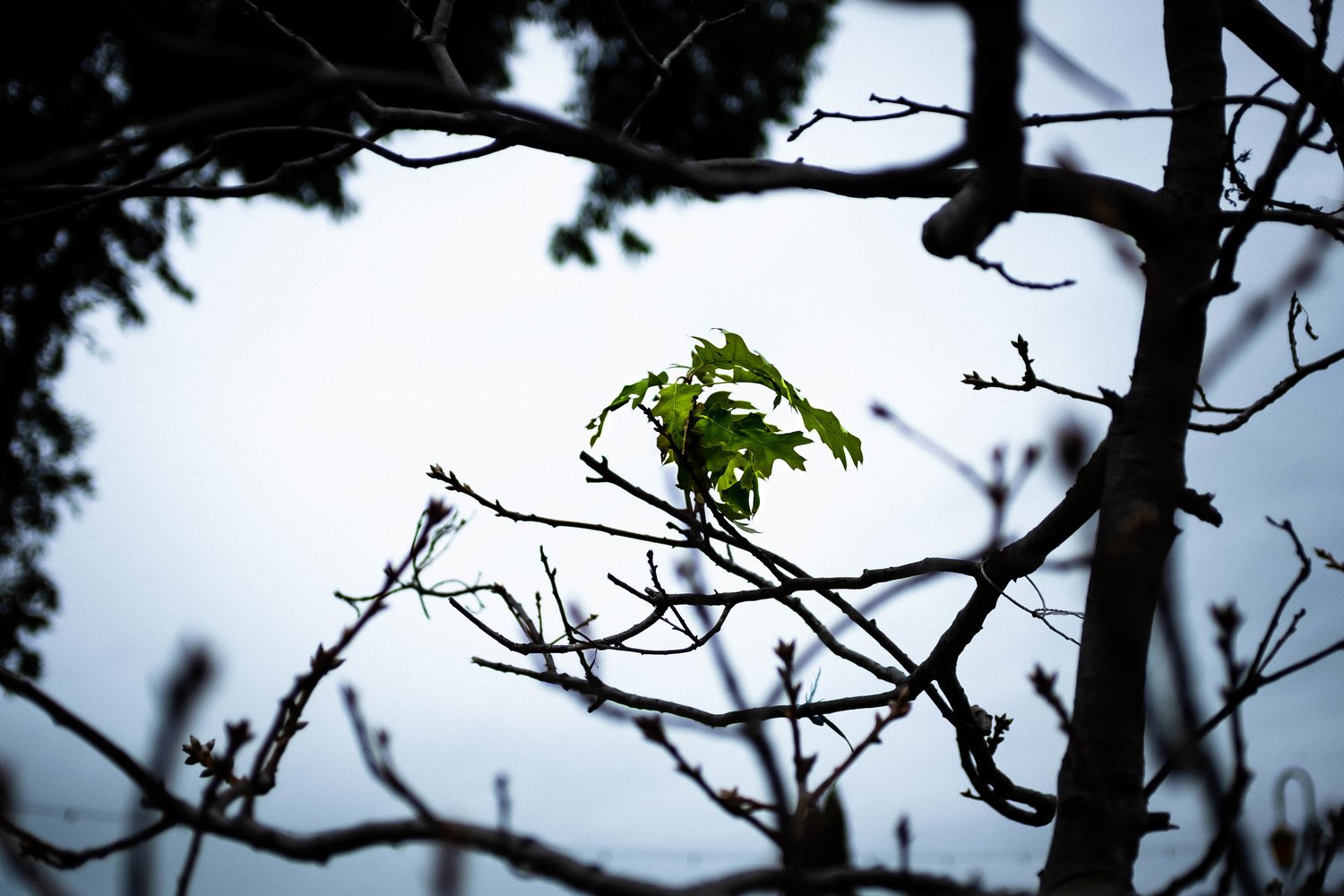 winter_life-01.jpg