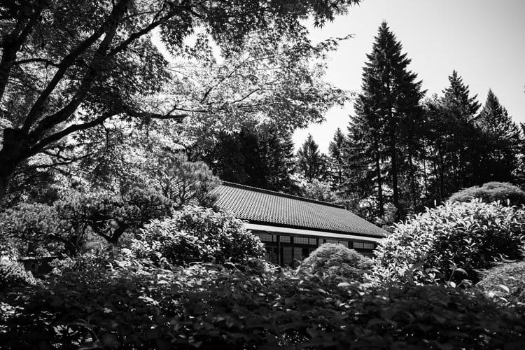 Portland, OR | June, 2019